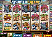 Soccer safari